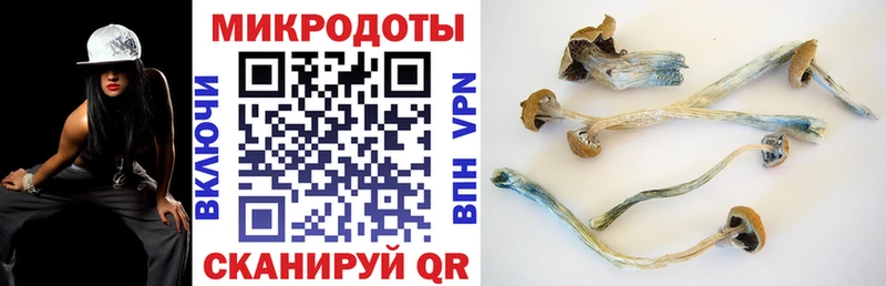 Купить  Усть-Лабинск  Галлюциногенные грибы GOLDEN TEACHER 